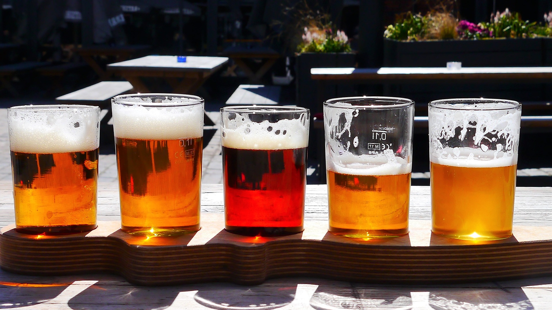 Combo de cervejas artesanais
